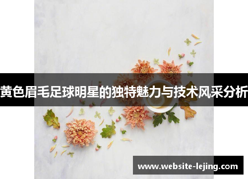 黄色眉毛足球明星的独特魅力与技术风采分析