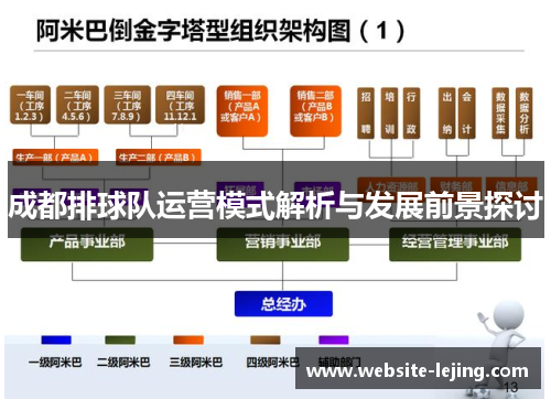 成都排球队运营模式解析与发展前景探讨